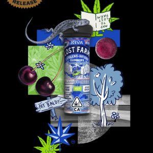 10mg Black Cherry Cannabis Edible Gummies infused with HUF OG live resin