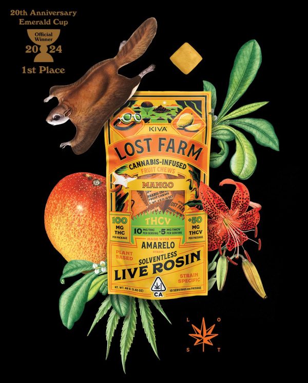 10mg : 5mg THCV Mango x Amarelo Live Rosin Chews
